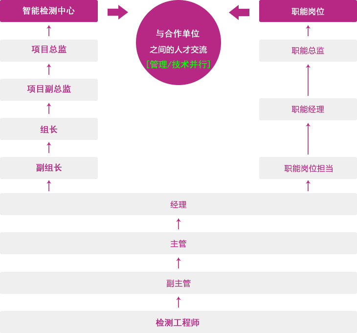 湖南智能职业生涯渠道